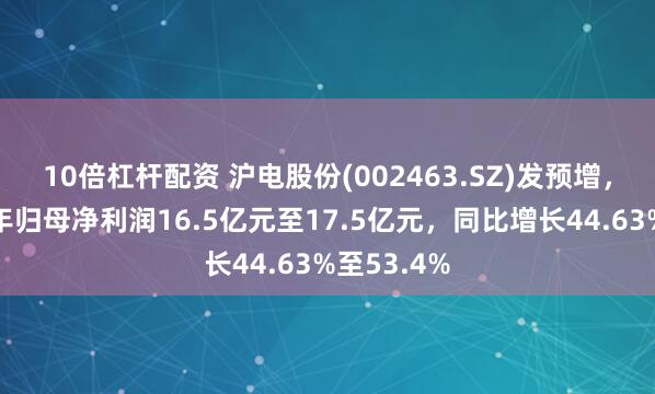 10倍杠杆配资 沪电股份(002463.SZ)发预增，预计上半年归母净利润16.5亿元至17.5亿元，同比增长44.63%至53.4%