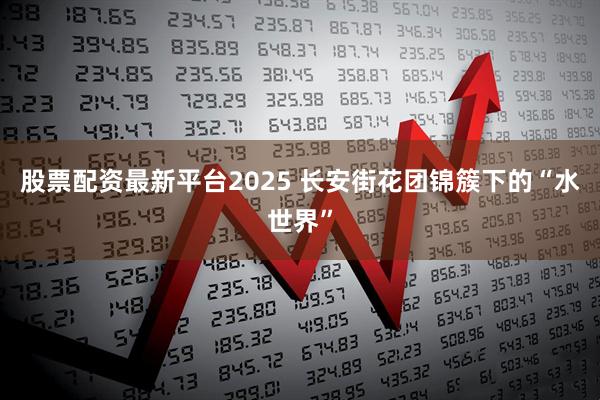 股票配资最新平台2025 长安街花团锦簇下的“水世界”